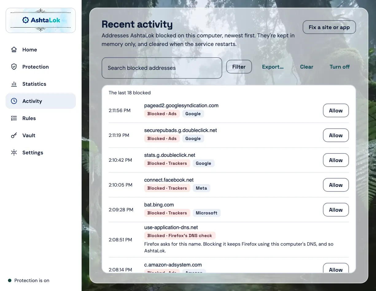 Recent activity on Windows: blocked names, their kind and company, with Allow (sample data)